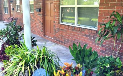 1/1 apartment in Auburndale